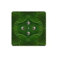 One Island In A Safe Environment Of Eternity Green Square Magnet by pepitasart