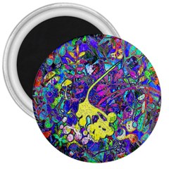 Vibrant Abstract Floral/rainbow Color 3  Magnets by dressshop