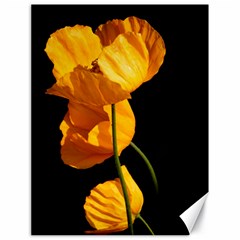 Yellow Poppies Canvas 18  X 24  by Audy