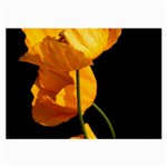 Yellow Poppies Large Glasses Cloth (2 Sides) Front