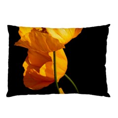 Yellow Poppies Pillow Case by Audy