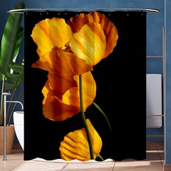 Yellow Poppies Shower Curtain 60  X 72  (medium) 