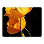 Yellow Poppies Double Sided Flano Blanket (Mini)  35 x27  Blanket Front