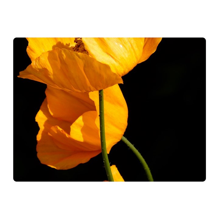 Yellow Poppies Double Sided Flano Blanket (Mini) 