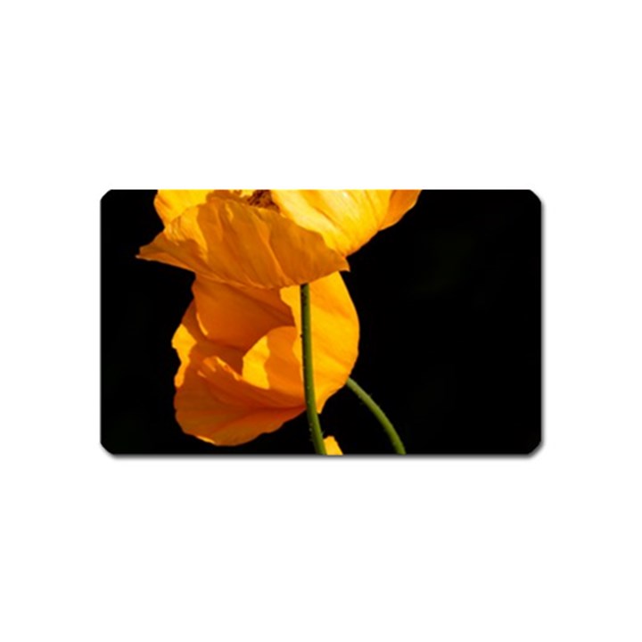 Yellow Poppies Magnet (Name Card)