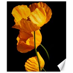 Yellow Poppies Canvas 8  X 10  by Audy