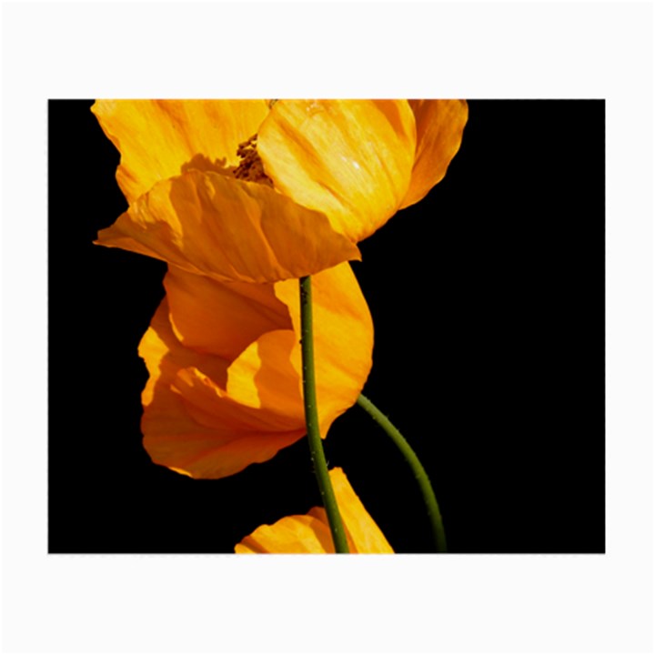 Yellow Poppies Small Glasses Cloth (2 Sides)