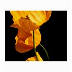 Yellow Poppies Small Glasses Cloth (2 Sides) Back