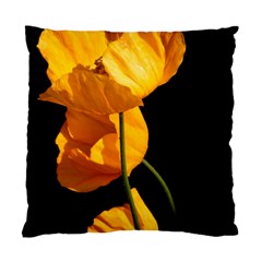 Yellow Poppies Standard Cushion Case (one Side) by Audy