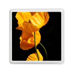 Yellow Poppies Memory Card Reader (square) by Audy