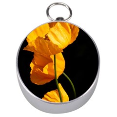 Yellow Poppies Silver Compasses by Audy