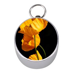 Yellow Poppies Mini Silver Compasses