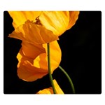 Yellow Poppies Double Sided Flano Blanket (Small)  50 x40  Blanket Front