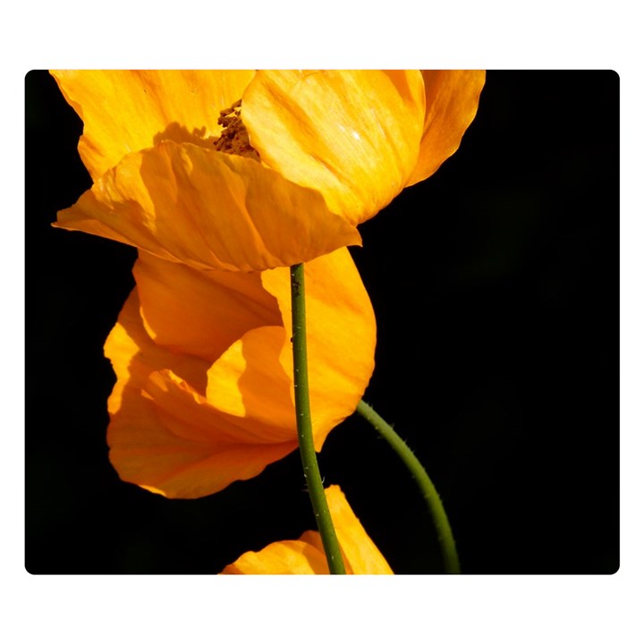 Yellow Poppies Double Sided Flano Blanket (Small) 