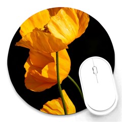 Yellow Poppies Round Mousepads by Audy