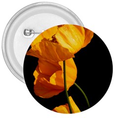 Yellow Poppies 3  Buttons by Audy