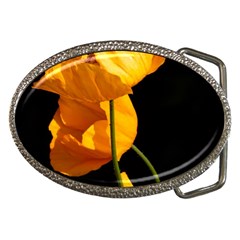 Yellow Poppies Belt Buckles by Audy