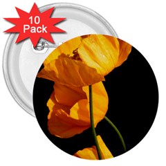 Yellow Poppies 3  Buttons (10 Pack) 