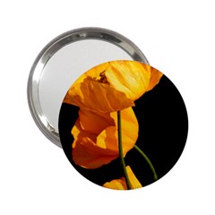 Yellow Poppies 2 25  Handbag Mirrors by Audy