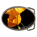 Yellow Poppies Belt Buckles Front