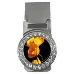 Yellow Poppies Money Clips (cz)  by Audy