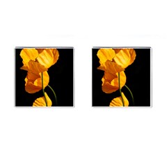 Yellow Poppies Cufflinks (square) by Audy