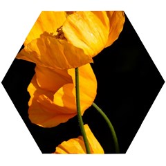 Yellow Poppies Wooden Puzzle Hexagon