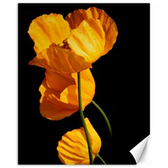 Yellow Poppies Canvas 16  X 20  by Audy