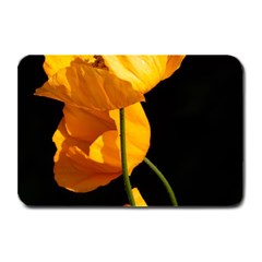 Yellow Poppies Plate Mats