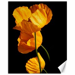 Yellow Poppies Canvas 11  X 14  by Audy