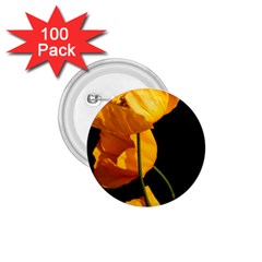 Yellow Poppies 1 75  Buttons (100 Pack) 