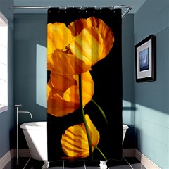 Yellow Poppies Shower Curtain 36  X 72  (stall)  by Audy