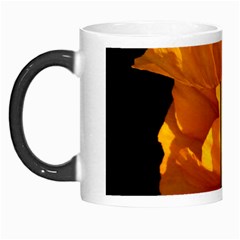 Yellow Poppies Morph Mugs