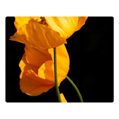 Yellow Poppies Double Sided Flano Blanket (large)  by Audy