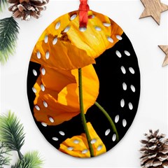 Yellow Poppies Oval Filigree Ornament (two Sides)