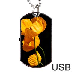 Yellow Poppies Dog Tag Usb Flash (one Side) by Audy