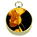 Yellow Poppies Gold Compasses Front