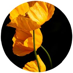 Yellow Poppies Wooden Puzzle Round by Audy