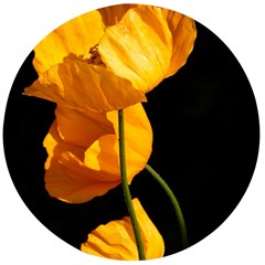 Yellow Poppies Wooden Bottle Opener (round) by Audy