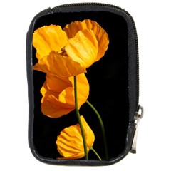 Yellow Poppies Compact Camera Leather Case by Audy