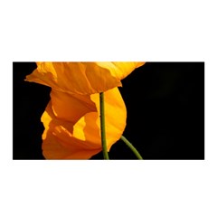 Yellow Poppies Satin Wrap by Audy