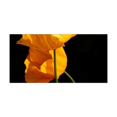 Yellow Poppies Yoga Headband by Audy