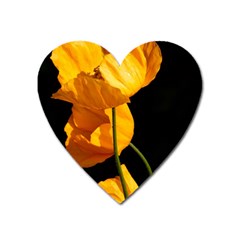 Yellow Poppies Heart Magnet by Audy