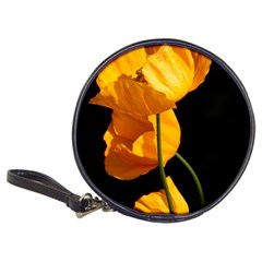 Yellow Poppies Classic 20-cd Wallets by Audy