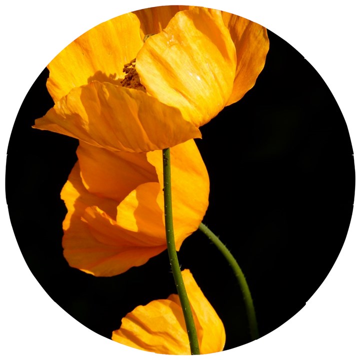 Yellow Poppies Wooden Puzzle Round