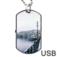 Winter Season Dog Tag Usb Flash (one Side) by Audy