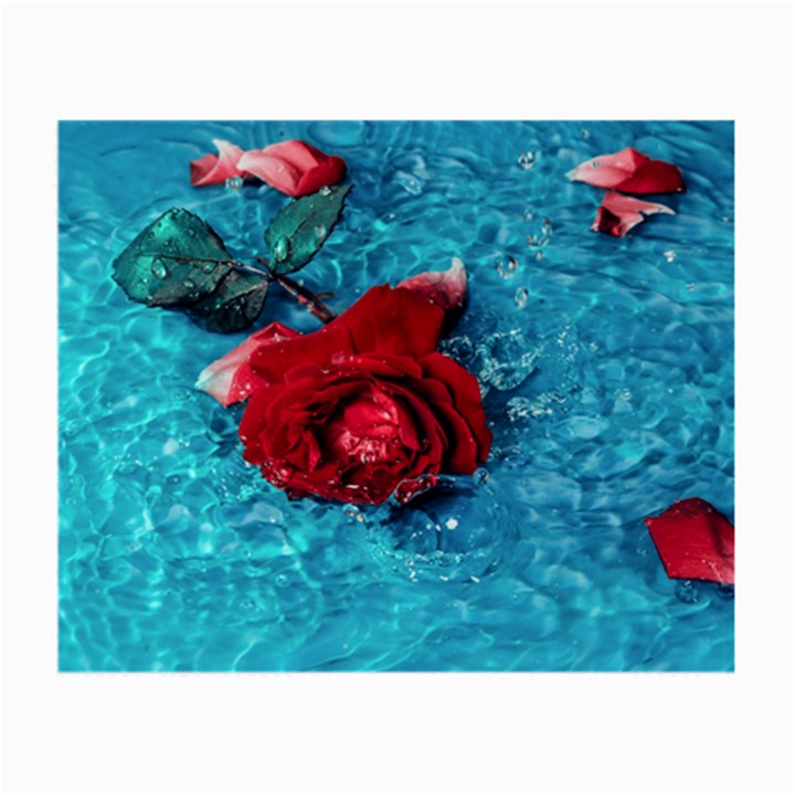 Red Roses In Water Small Glasses Cloth (2 Sides)