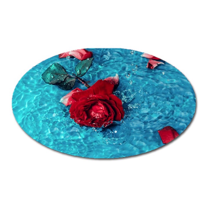 Red Roses In Water Oval Magnet