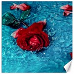 Red Roses In Water Canvas 20  x 20  19 x19.27  Canvas - 1