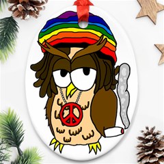  Rainbow Stoner Owl Oval Ornament (two Sides) by IIPhotographyAndDesigns